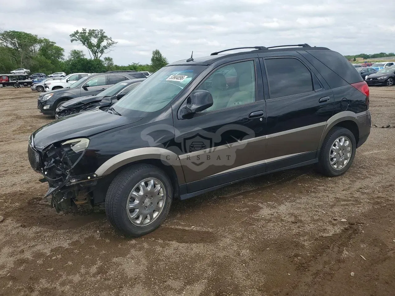 Buick Rendezvous 3.6L 6 2005