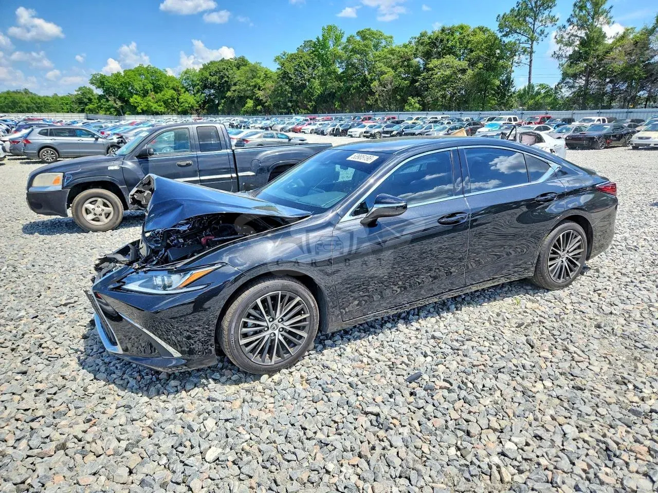 Lexus ES 3.5L 6 2024