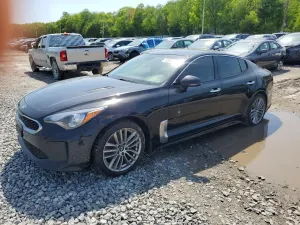 Kia Stinger 2.0L 4 2018