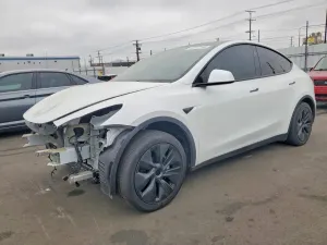 Tesla Model Y 2025