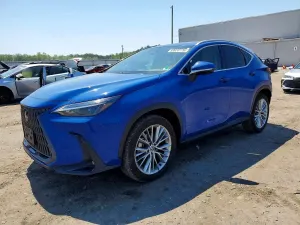 Lexus NX 2.4L 4 2025