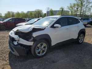 Hyundai Kona 2.0L 4 2022