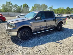 Ford F-150 4.6L 8 2004
