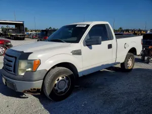 Ford F-150 4.6L 8 2010