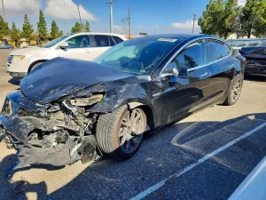 Tesla Model 3 2019