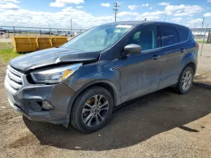 Ford Escape 1.5L 4 2019