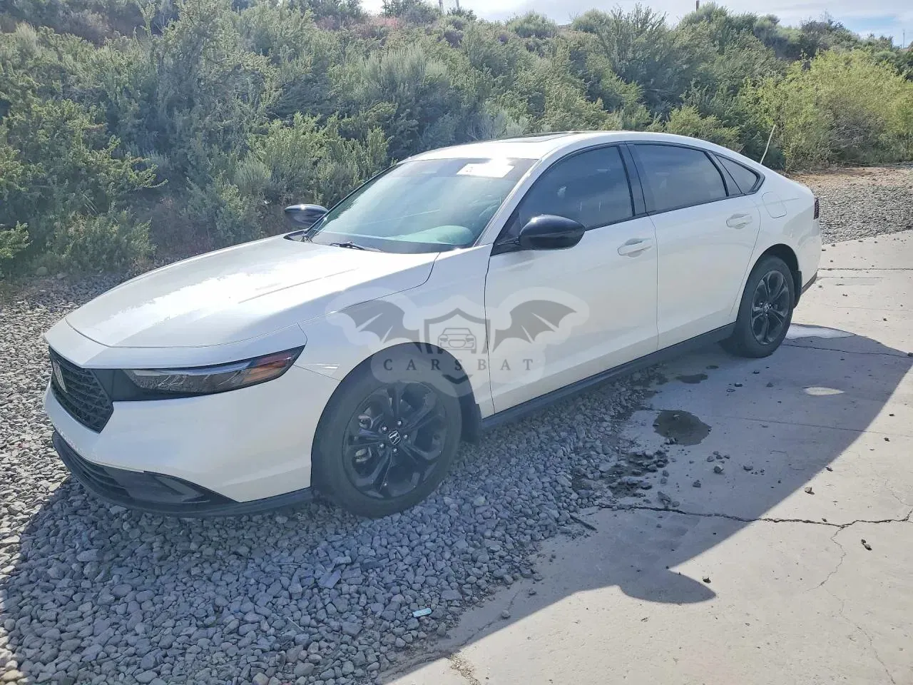 Honda Accord 1.5L 4 2025