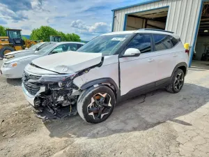 Kia Seltos 2.0L 4 2024