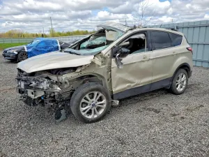 Ford Escape 1.5L 4 2018