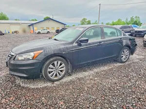 Honda Accord 2.4L 4 2011