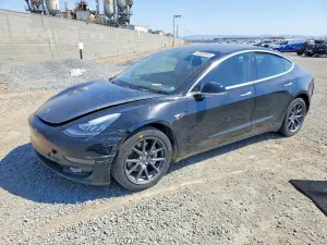 Tesla Model 3 2019