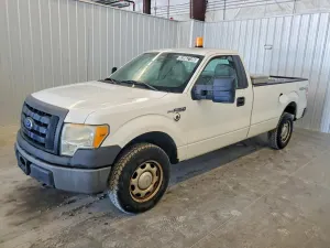 Ford F-150 4.6L 8 2010