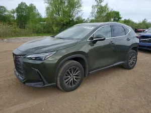 Lexus NX 2.4L 4 2024
