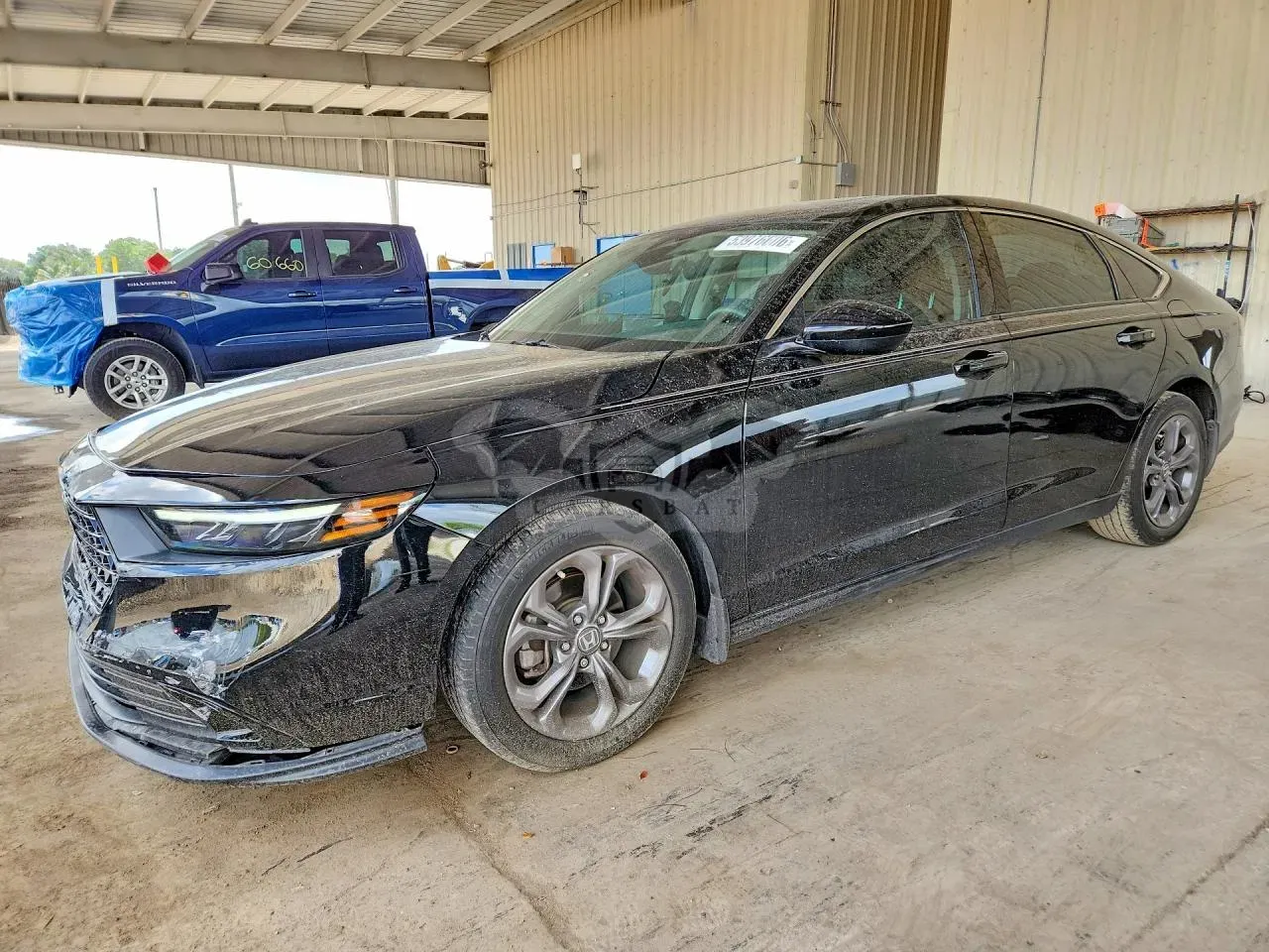 Honda Accord 1.5L 4 2024