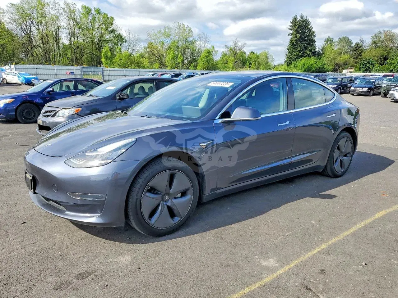 Tesla Model 3 2019