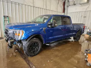 Ford F-150 5.0L 8 2023