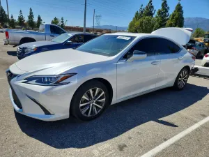 Lexus ES 3.5L 6 2020