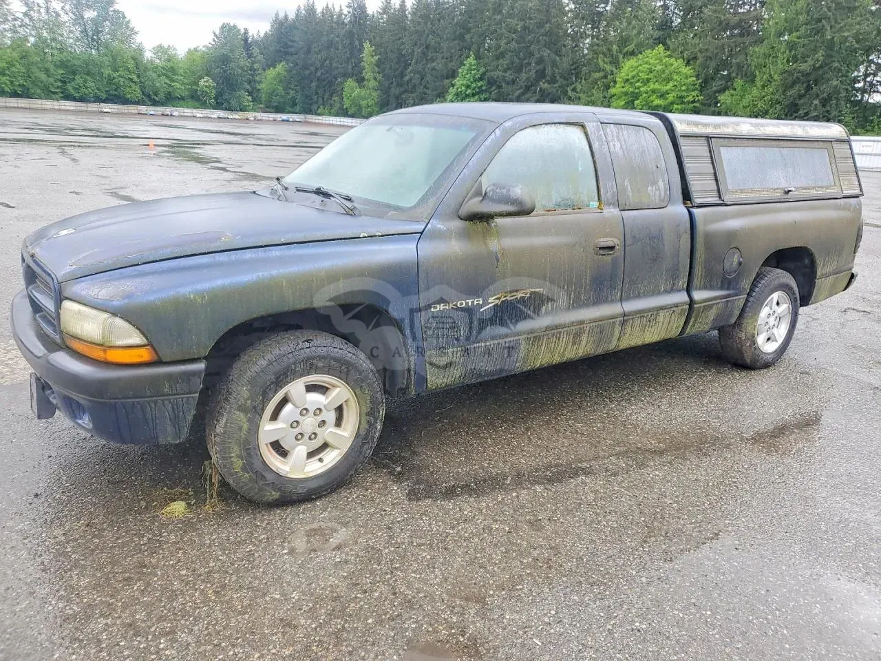 Dodge Dakota 3.9L 6 2001