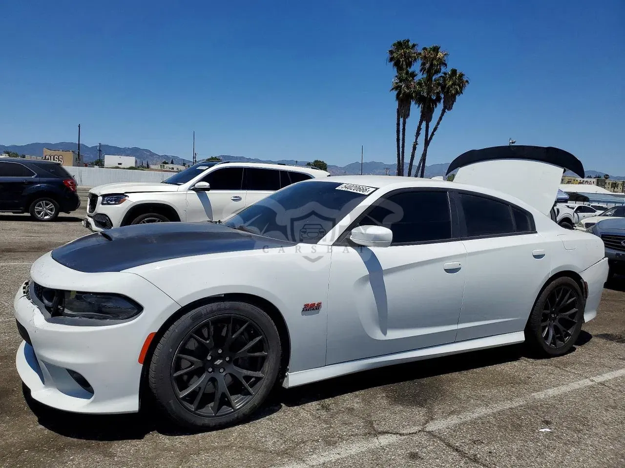 Dodge Charger 6.4L 8 2019