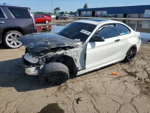 BMW 2 Series 3.0L 6 2015