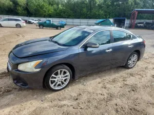 Nissan Maxima 3.5L 6 2011