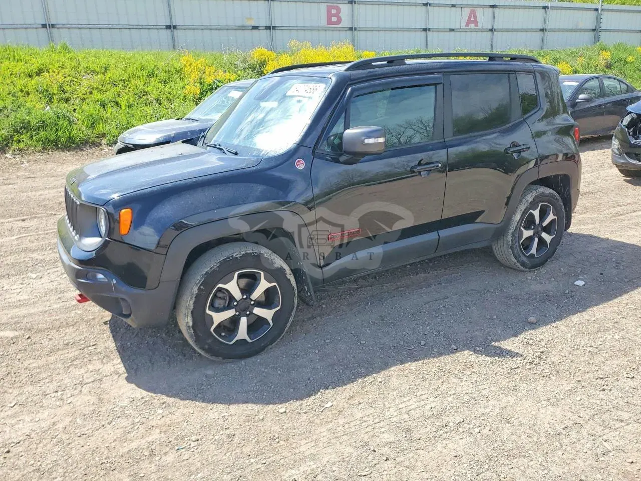 Jeep Renegade 1.3L 4 2019
