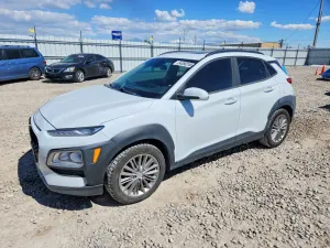 Hyundai Kona 2.0L 4 2018