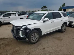 Hyundai Palisade 3.8L 6 2024