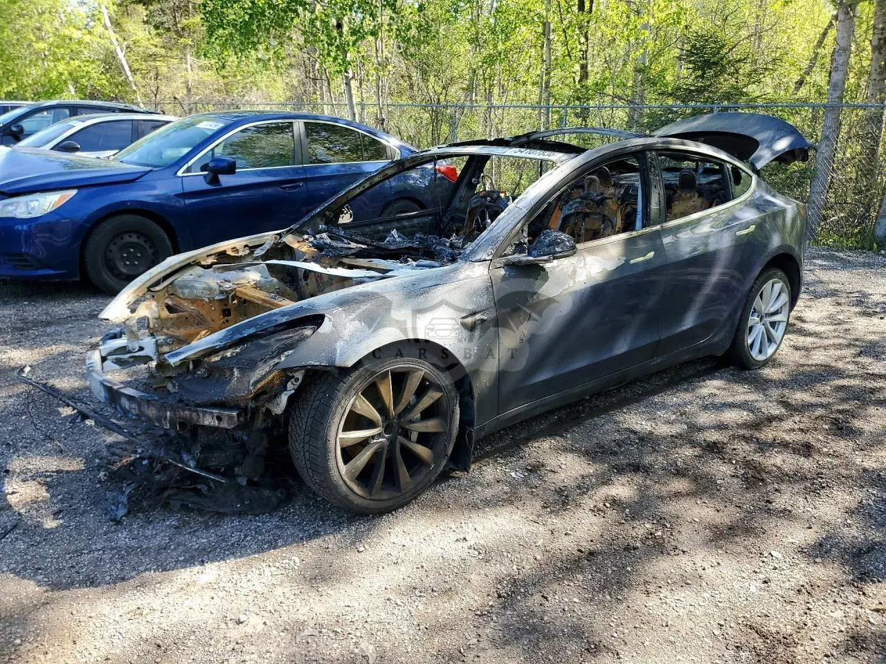 Tesla Model 3 2020