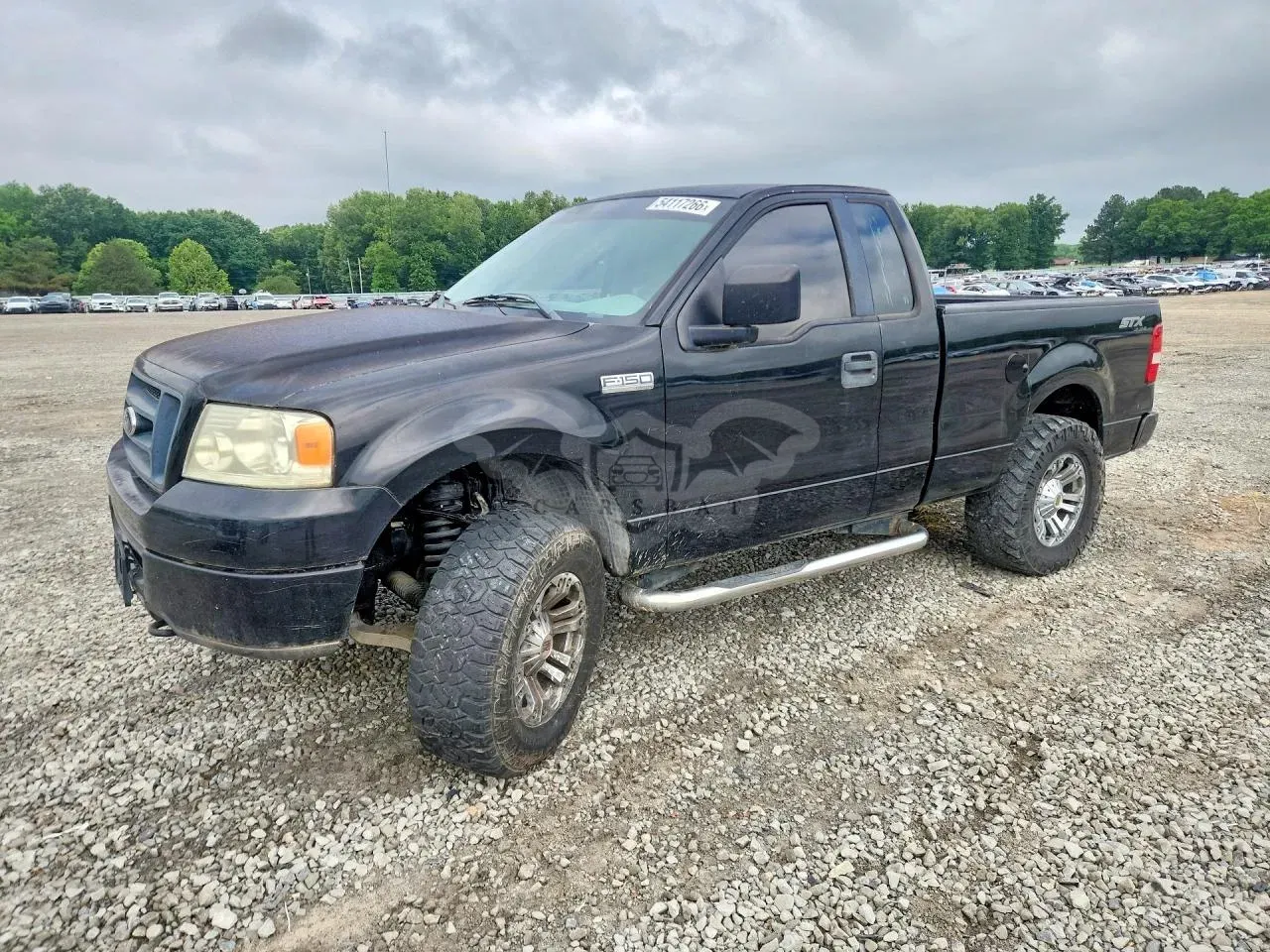 Ford F-150 4.6L 8 2006