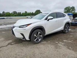 Lexus NX 2.0L 4 2020