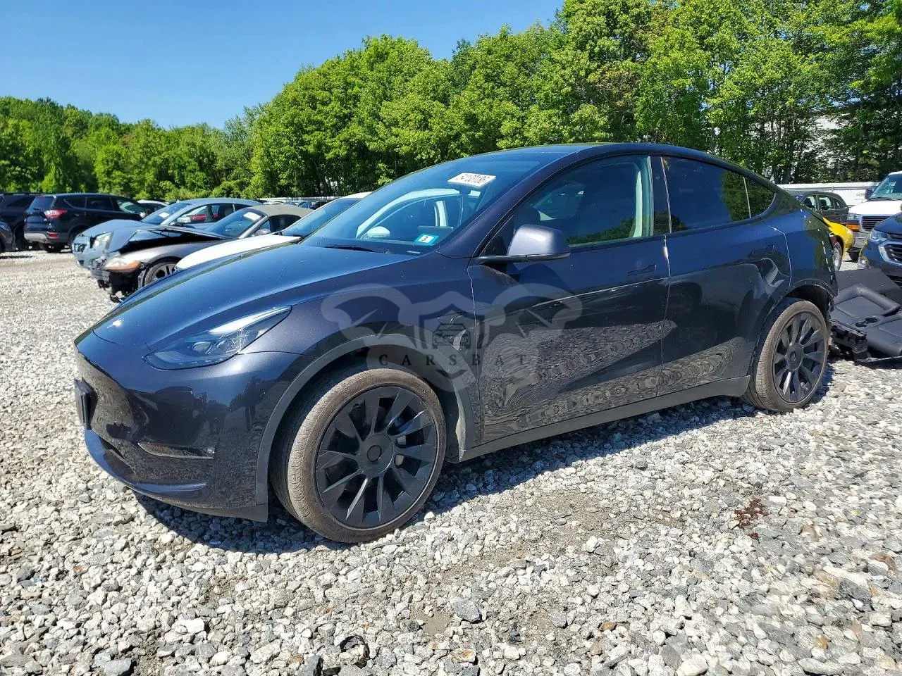 Tesla Model Y 2024