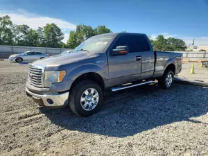 Ford F-150 4.6L 8 2010