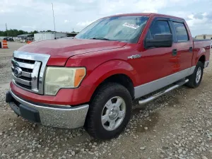 Ford F-150 4.6L 8 2010
