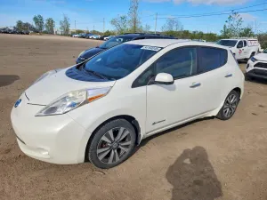 Nissan Leaf 0.0L 0 2013
