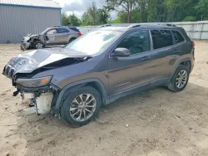 Jeep Cherokee 2.0L 4 2019