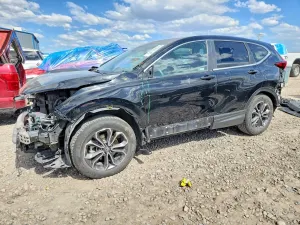 Honda CR-V 1.5L 4 2021