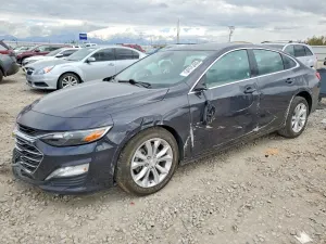 Chevrolet Malibu 1.5L 4 2023