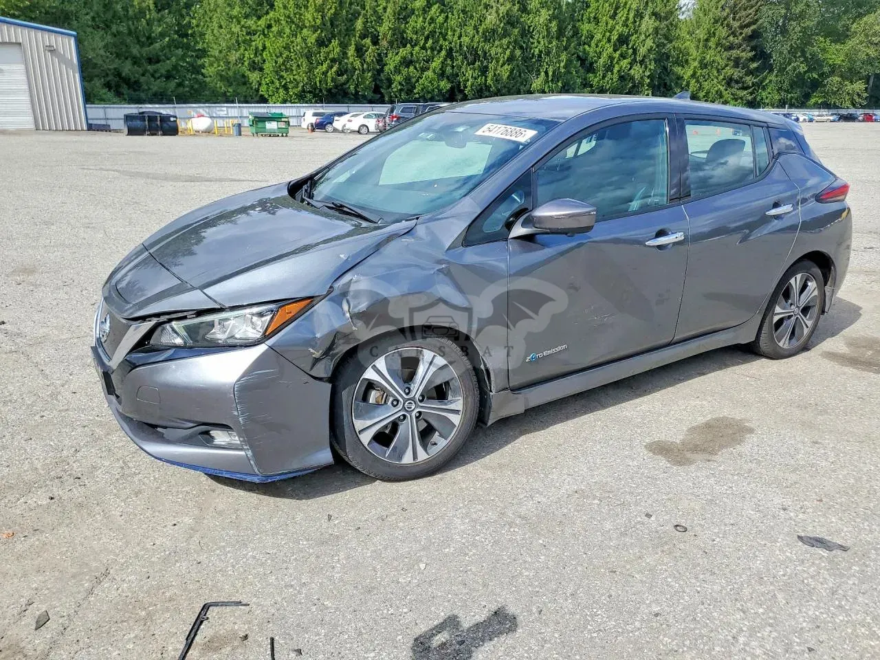 Nissan Leaf 0.0L 0 2019
