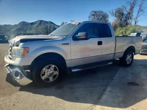 Ford F-150 4.6L 8 2010