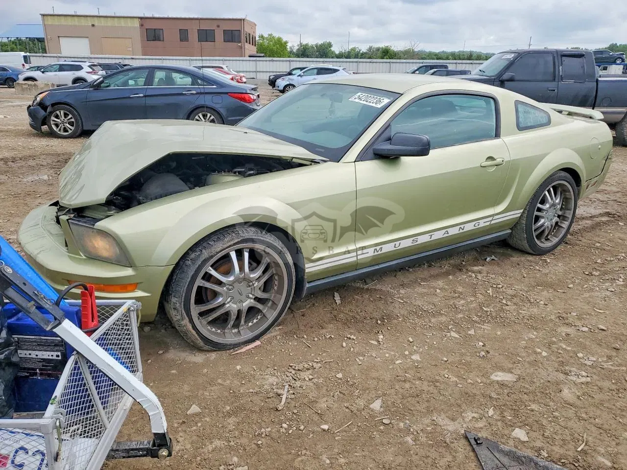 Ford Mustang 4.0L 6 2005
