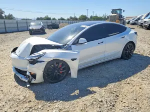 Tesla Model 3 2019