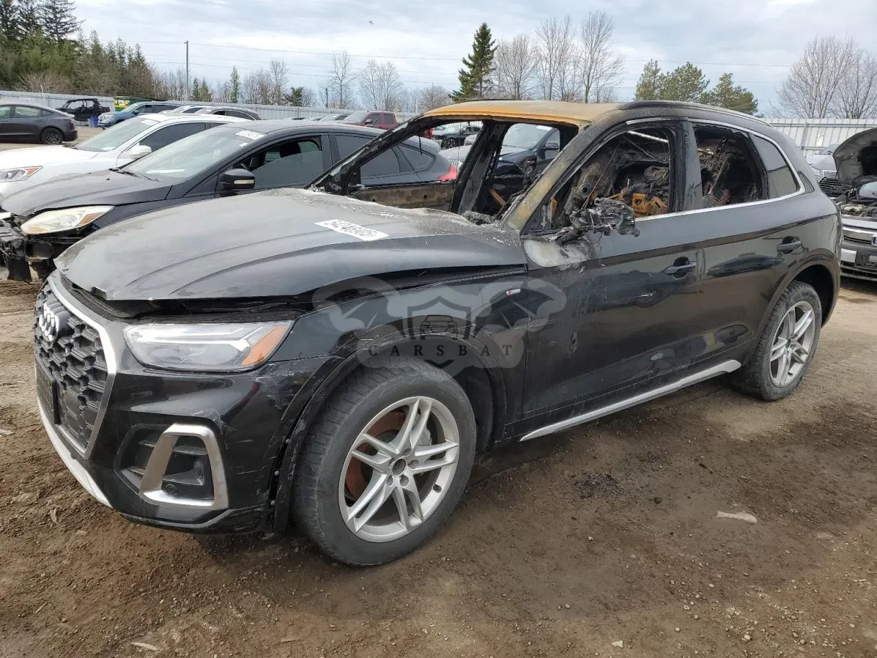 Audi Q5 2.0L 4 2024