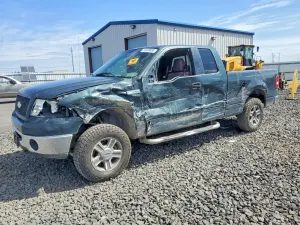 Ford F-150 5.4L 8 2006