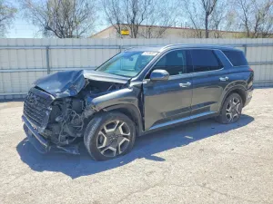 Hyundai Palisade 3.8L 6 2024