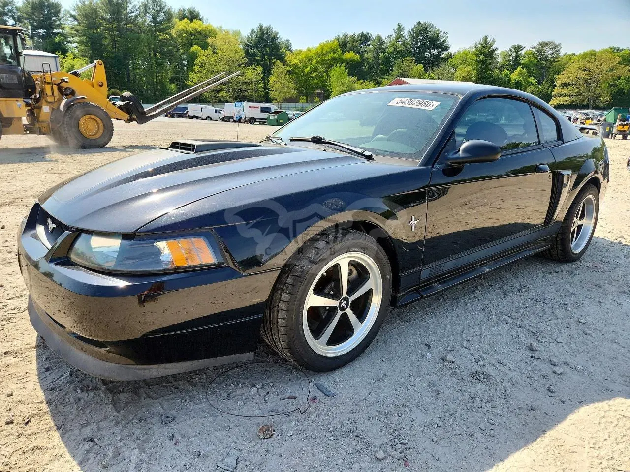 Ford Mustang 4.6L 8 2003