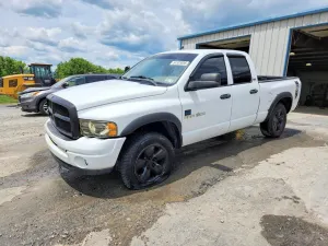 Dodge RAM 4.7L 8 2002