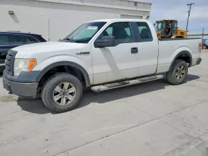 Ford F-150 4.6L 8 2010