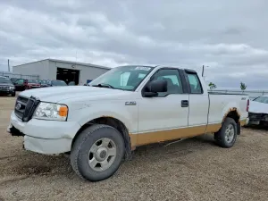 Ford F-150 4.6L 8 2004
