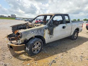 Ford F-150 4.6L 8 2008